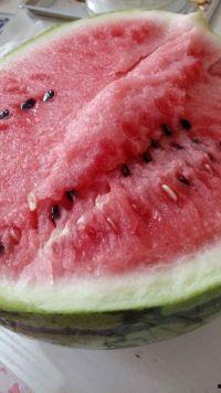 娱乐吃瓜酱做核酸的修勾,核酸检测背后的温馨瞬间